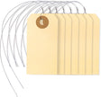 PL-MT1-WithWires-100