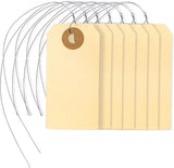 PL-MT1-WithWires-100