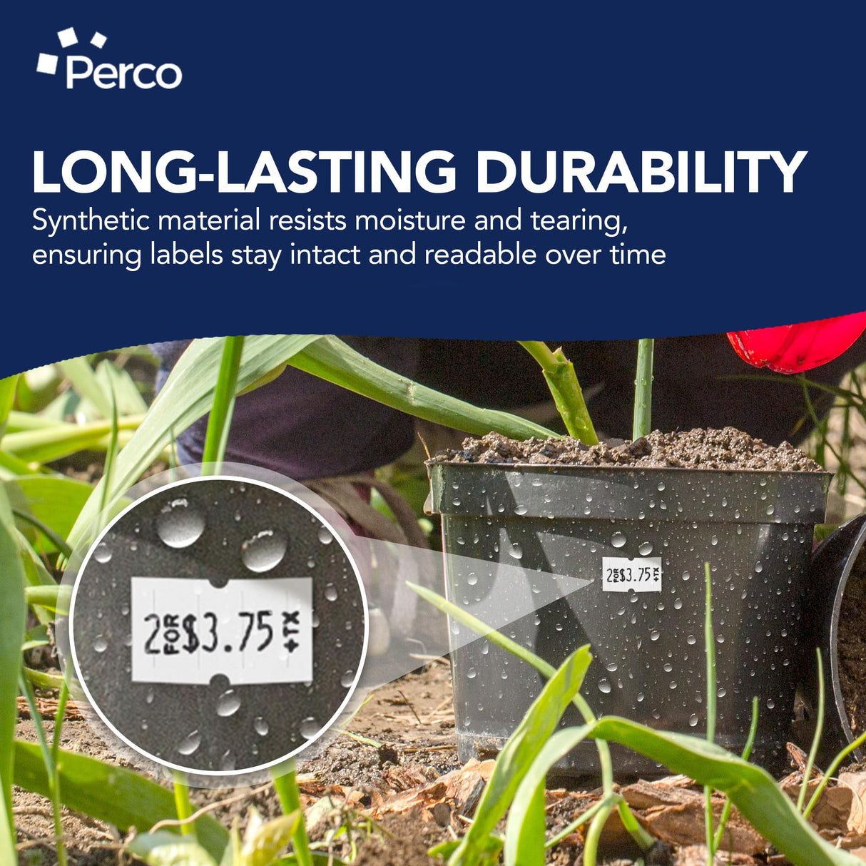 Perco 1 Line Special Labels